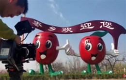 山东省茌平县招商局宣传片拍摄完成