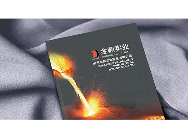 山东金鼎实业画册设计