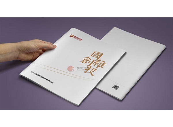 潍坊国维创投画册设计