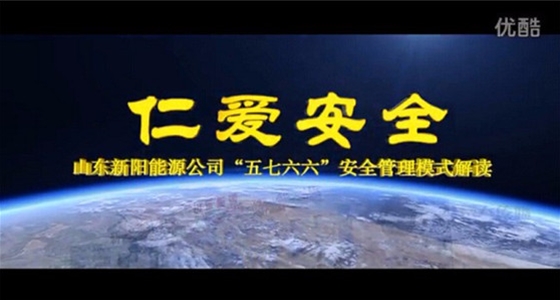 山东新阳能源有限公司
