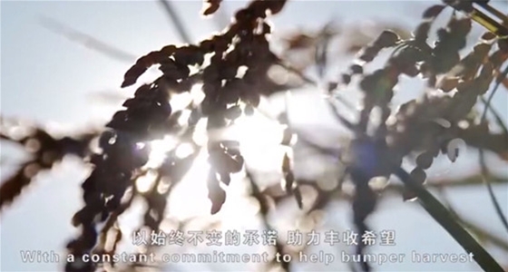 金大丰机械宣传片