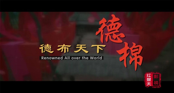 德棉集团宣传片
