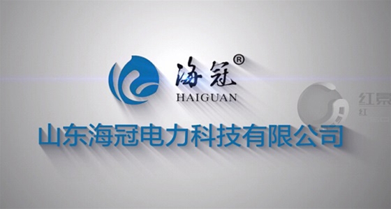 山东海冠电力宣传片