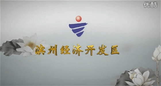 滨州经济开发区